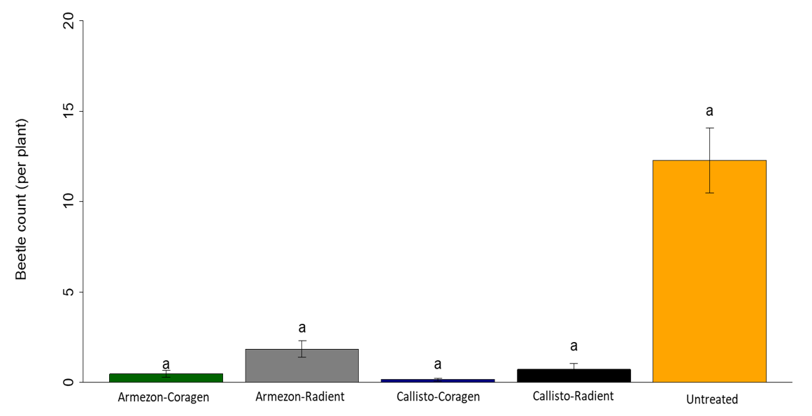 A bar graph.